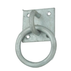 Ring On Plate (06)